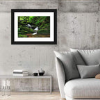 Mossy Rainforest Stream Wall Art