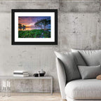 Cipondoh Lake Hyacinth Sunset Wall Art