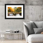 Forest Stream in Autumn Wall Art