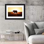 Golden Hour Elephant Silhouette Wall Art