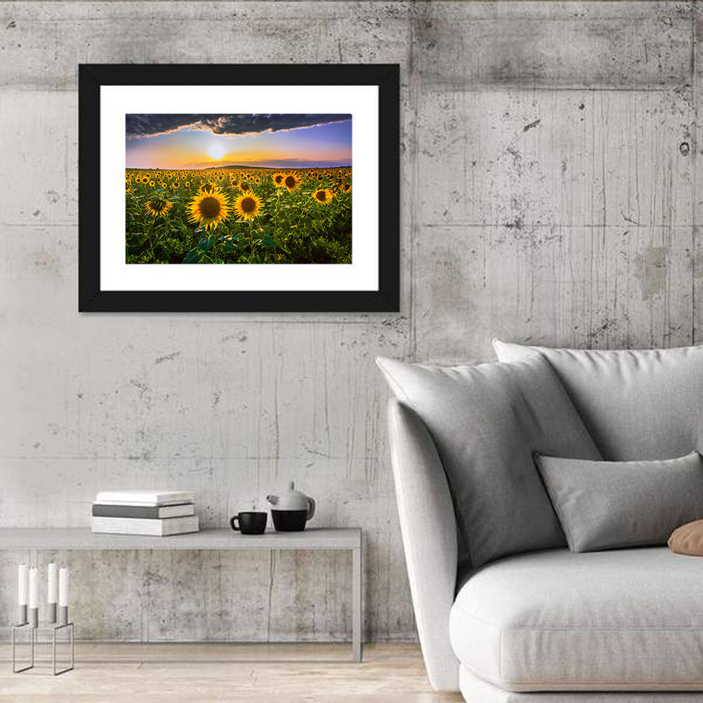Sunflower Field at Golden Hour Wall Art