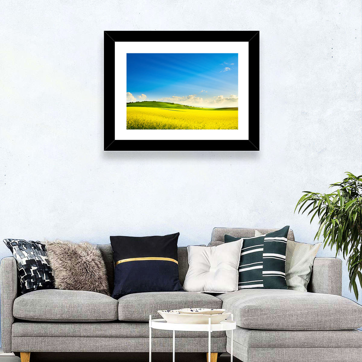 Rapeseed Field and Rolling Hills Under Blue Sky Wall Art in a room, landscape