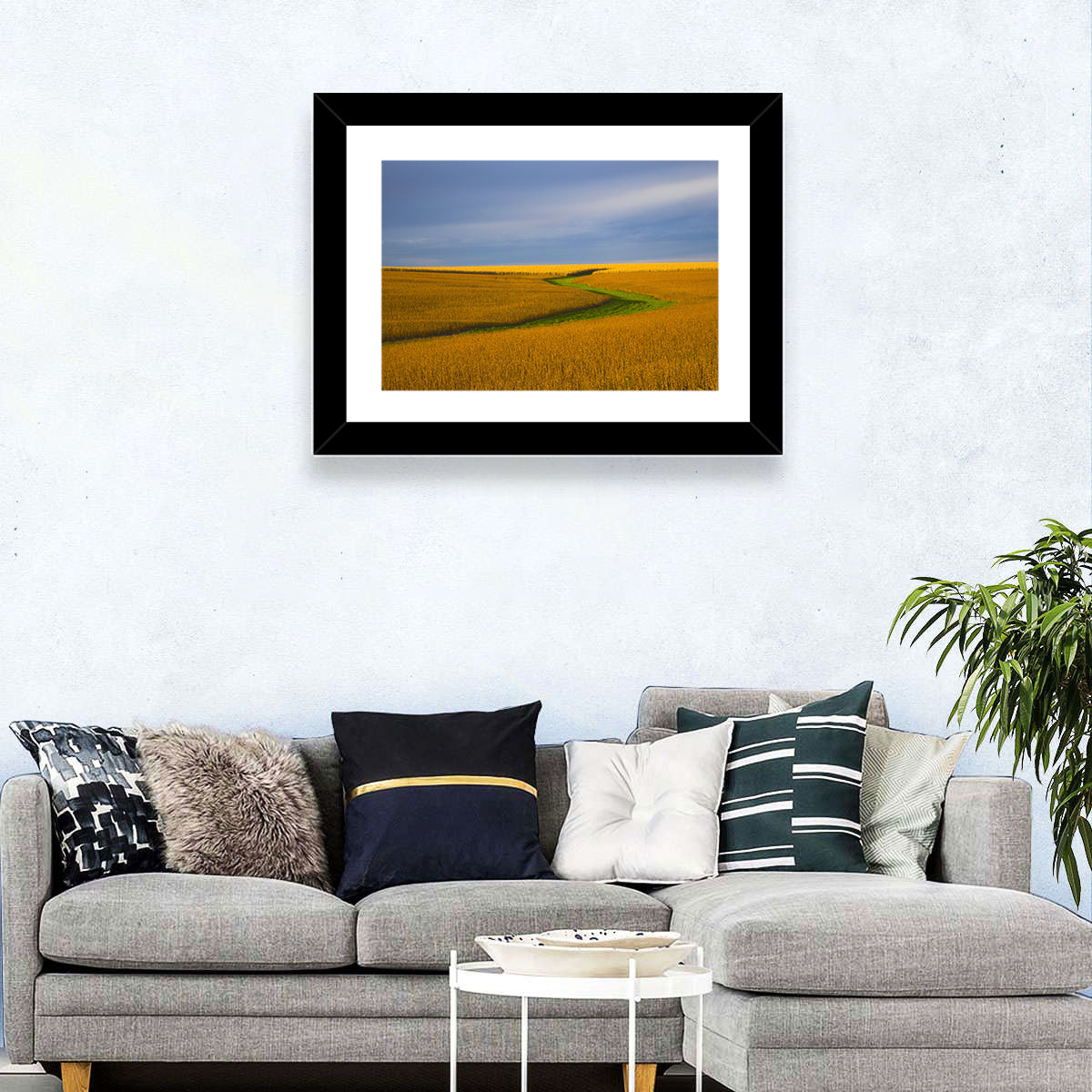 Golden Hour Soybean Field Wall Art in a room, landscape