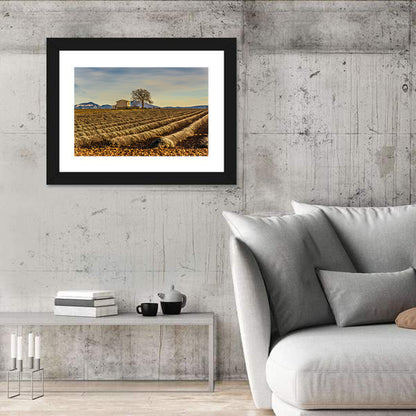 Provence Lavender Wall Art