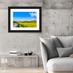 Rapeseed Field Road Under Blue Sky Wall Art