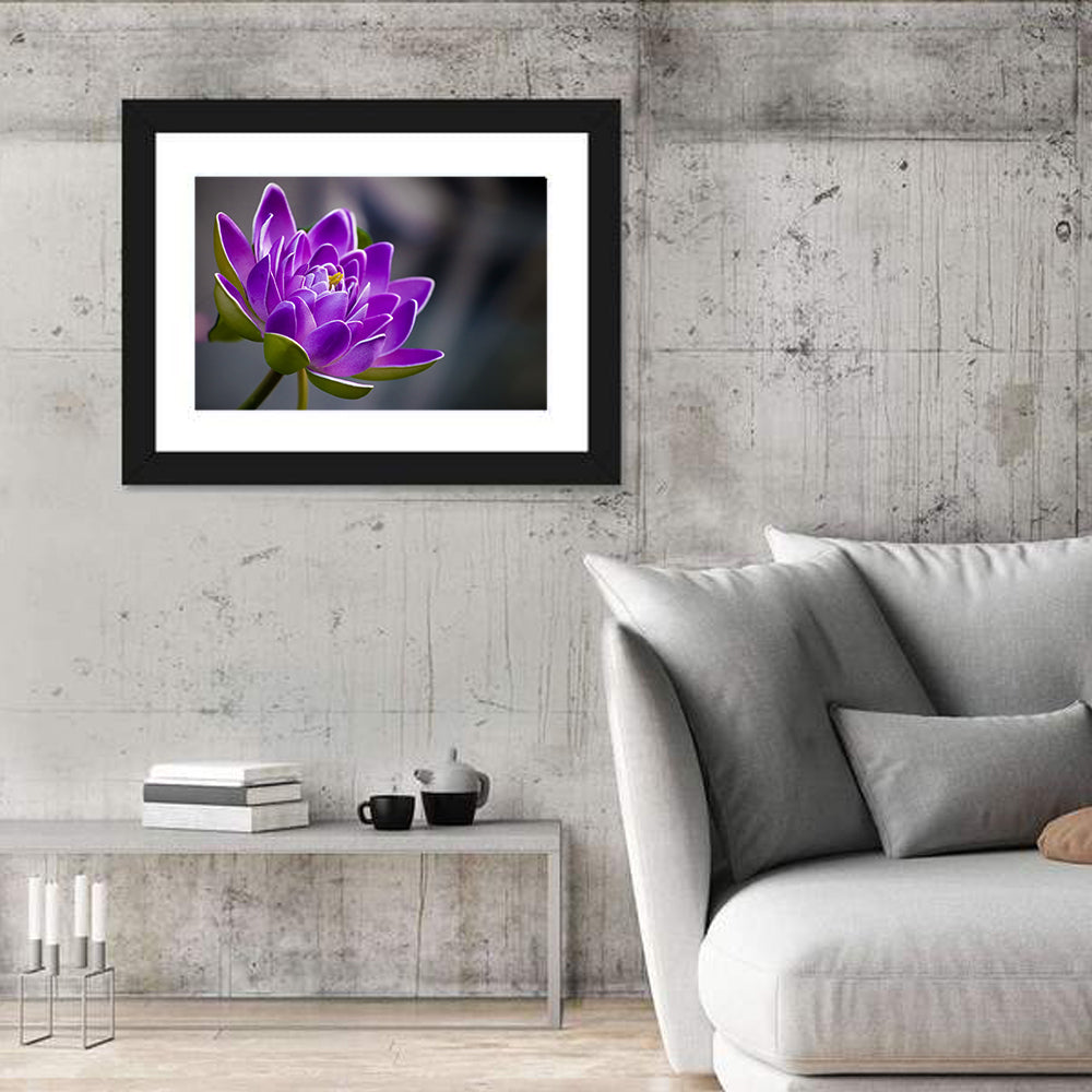 Purple Water Lily Close-up Wall Art