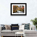 Sunlit Forest Stream Wall Art