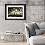 Village Morning with Buffalo Wall Art