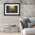 Freight Train Through Forest Wall Art