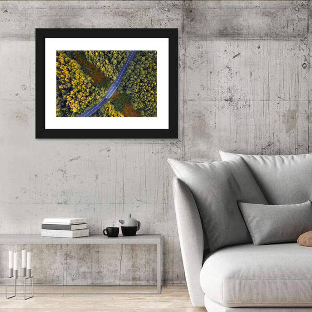 Aerial Autumn Forest Road Wall Art in a room, landscape