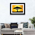 Acacia at Sunset Wall Art