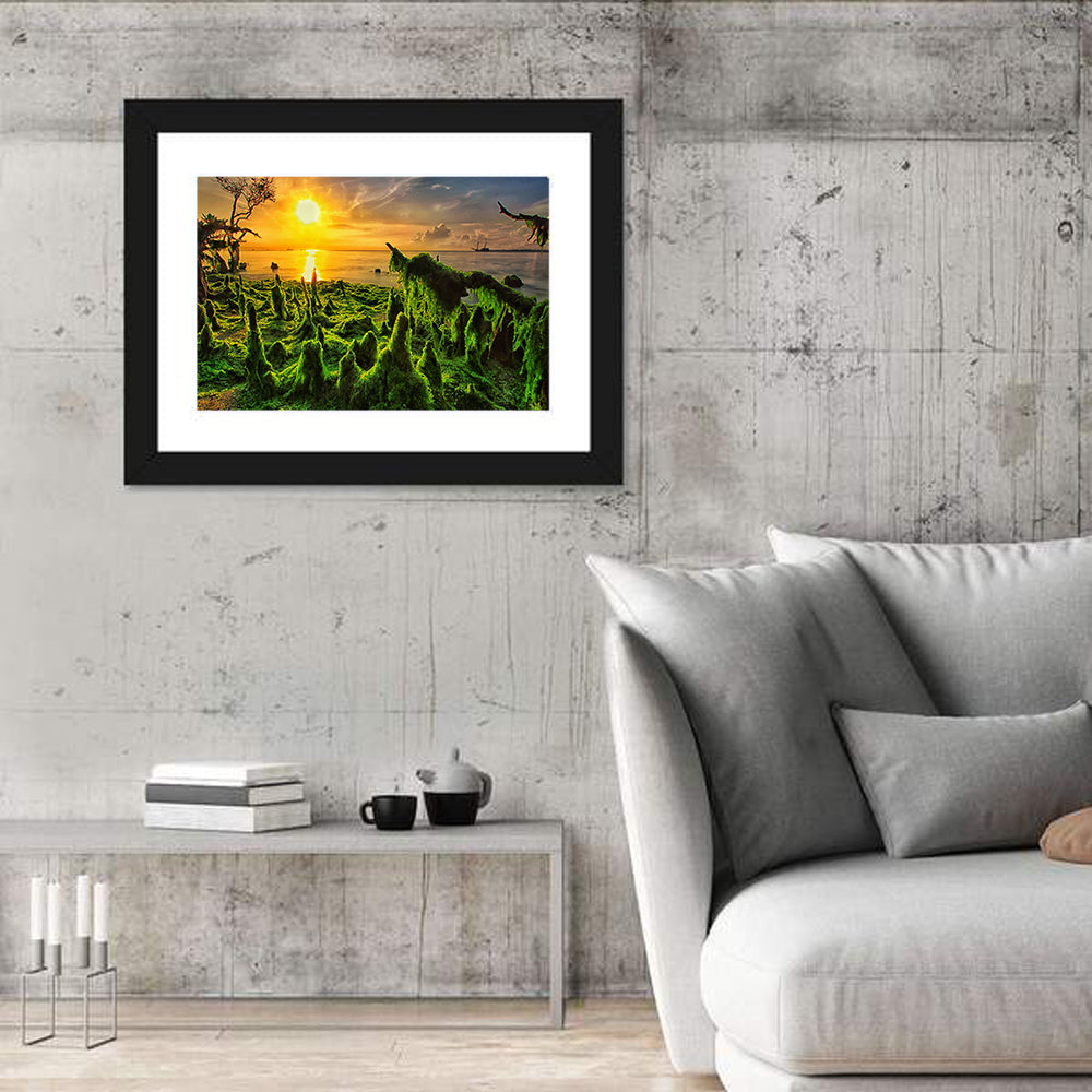 Mangrove Roots at Sunset Wall Art