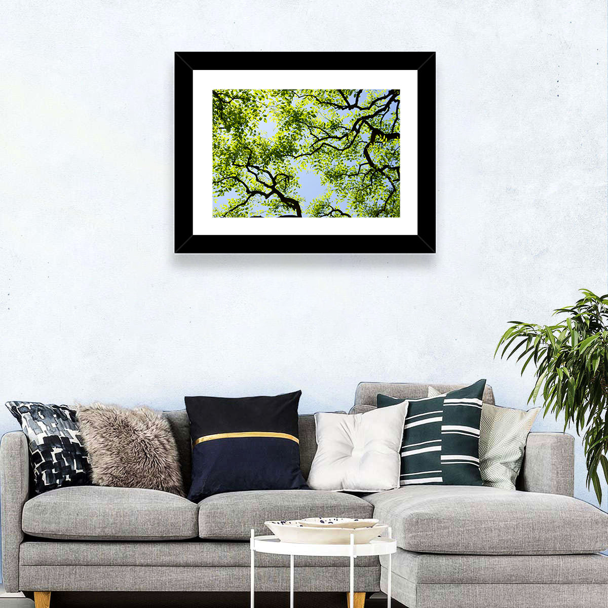 Sunlit Tree Canopy Wall Art