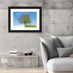 Split Season Tree Landscape Wall Art