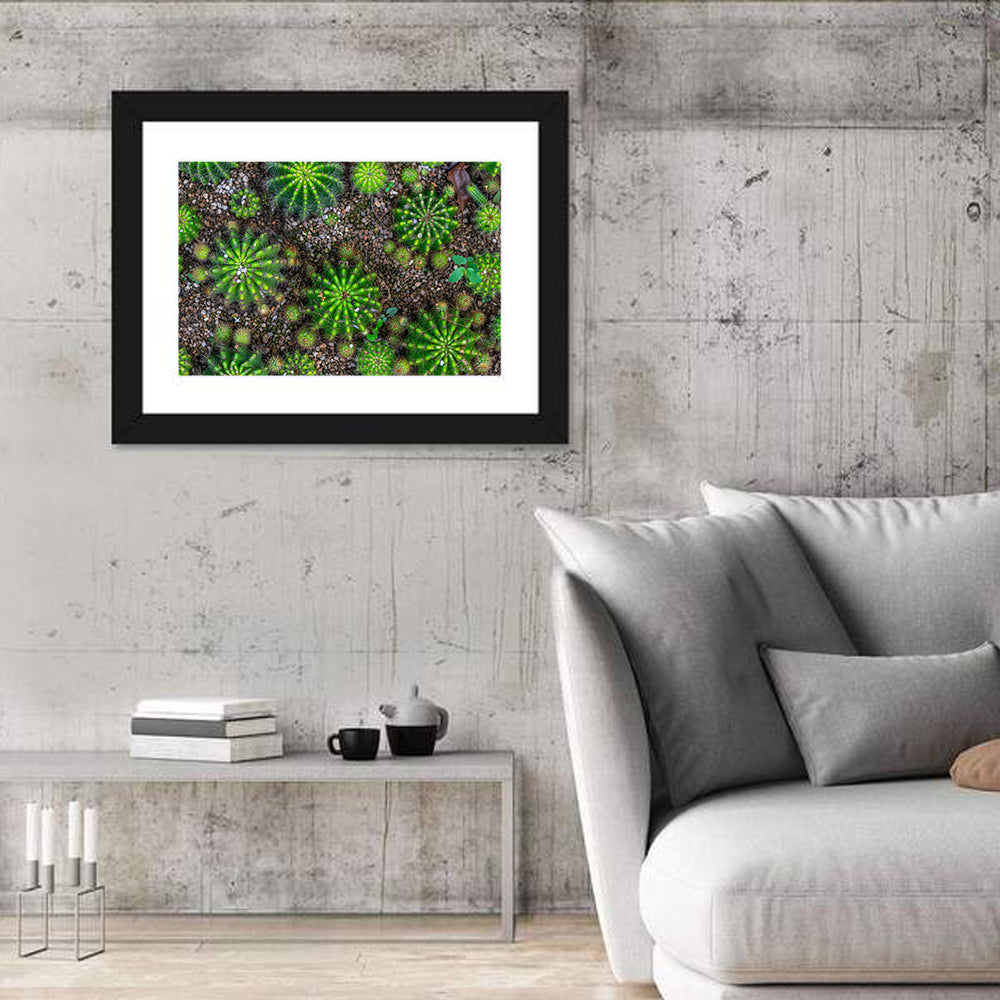 Top-down Cactus Garden Wall Art