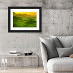 Sunlit Tea Plantation Hills Wall Art