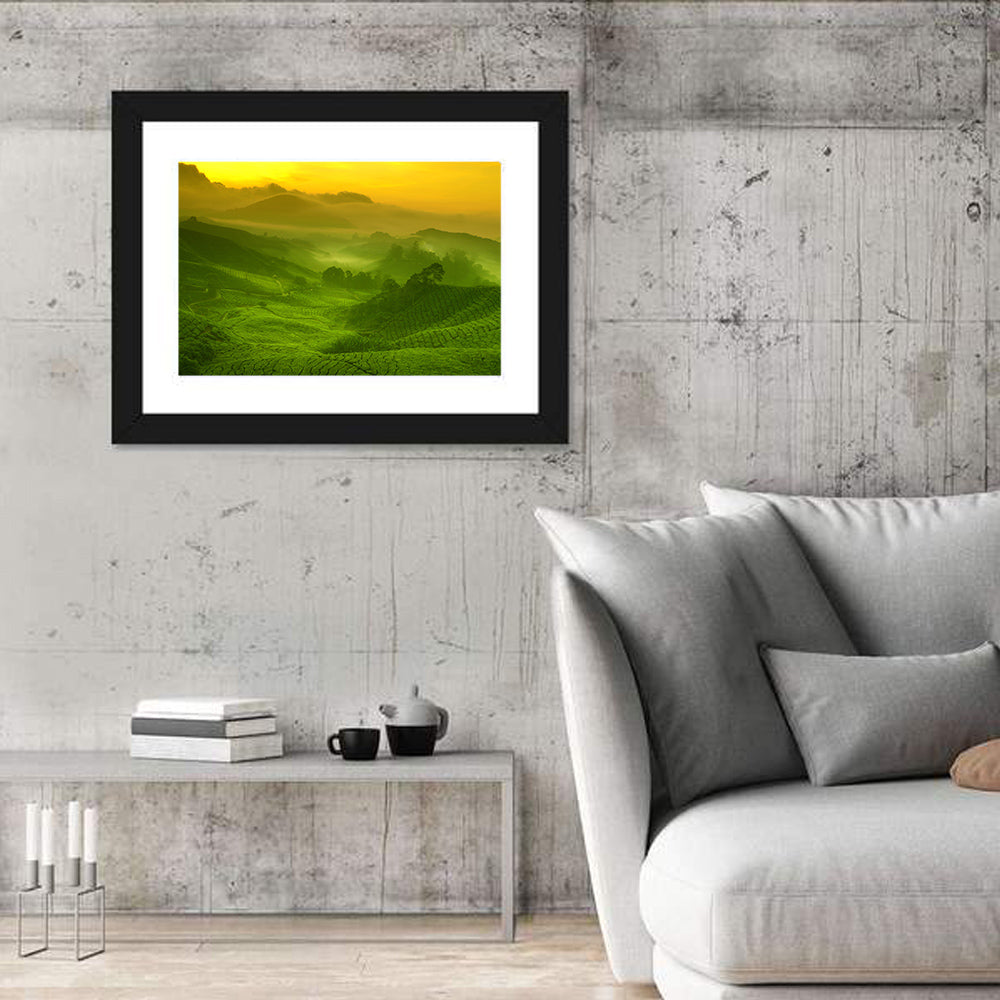Sunlit Tea Plantation Hills Wall Art
