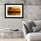 Savanna Sunset Acacia Silhouettes Wall Art