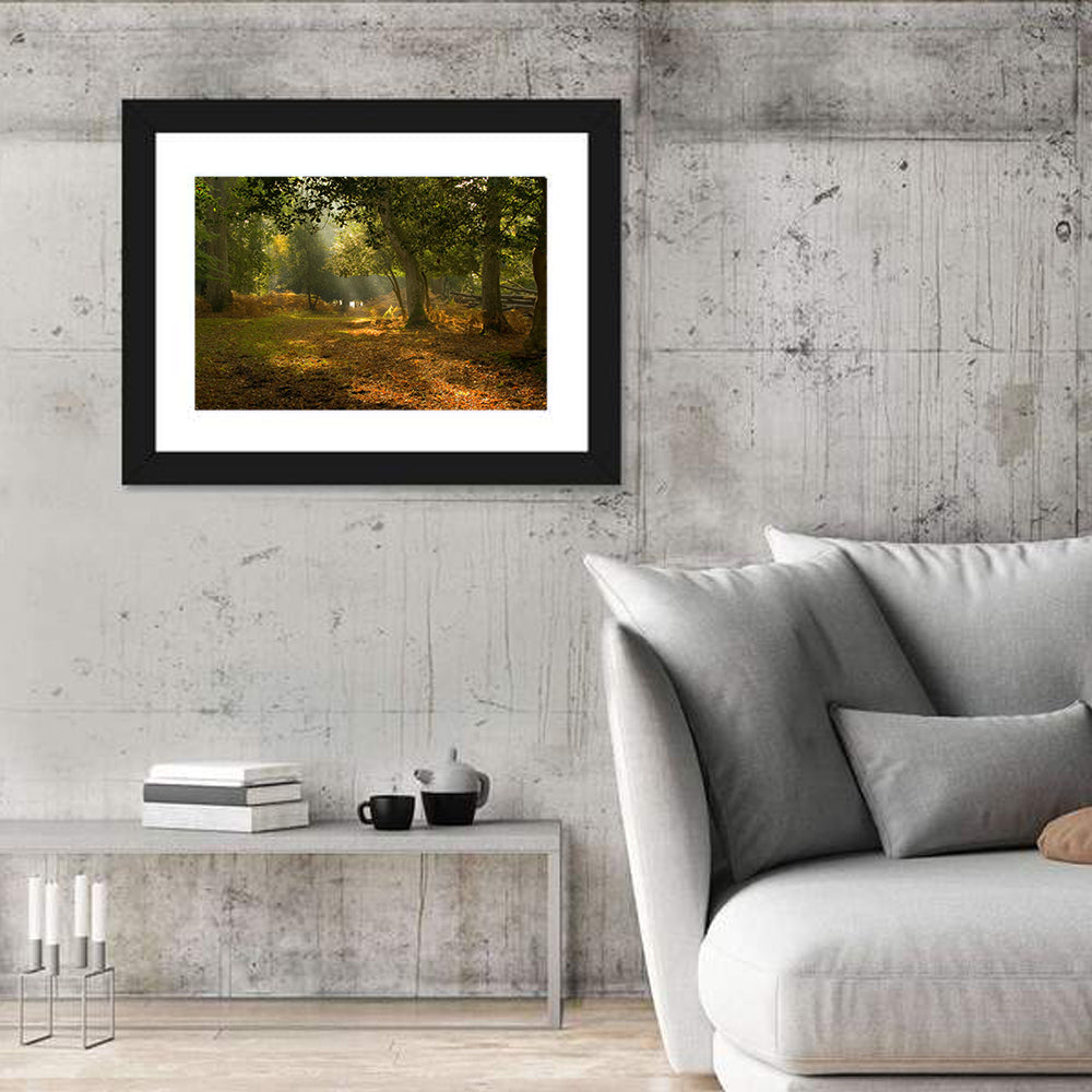 Autumn Forest Path, Hampshire Wall Art
