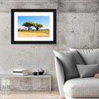 Acacia and Baobab Trees Wall Art