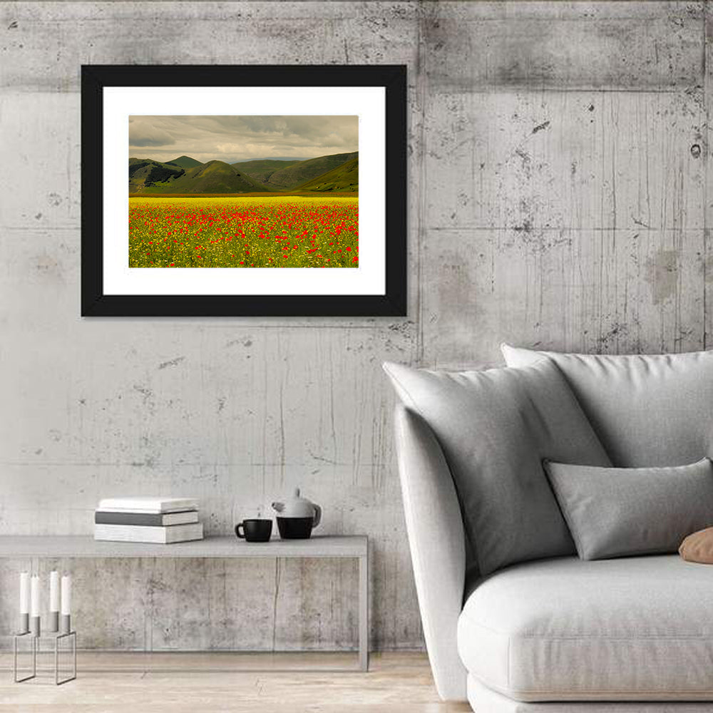 Castelluccio Wildflower Meadow Wall Art in a room, landscape