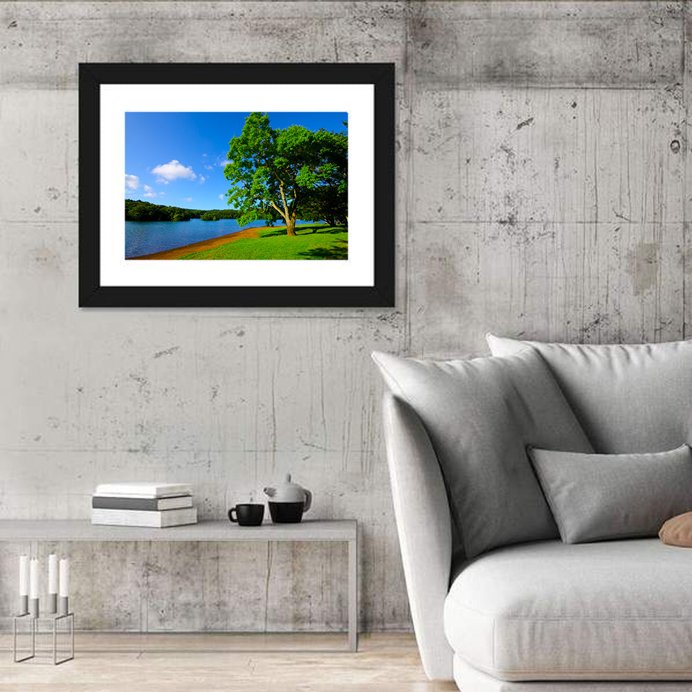 Lake Ippeki Solitary Tree Wall Art in a room, landscape