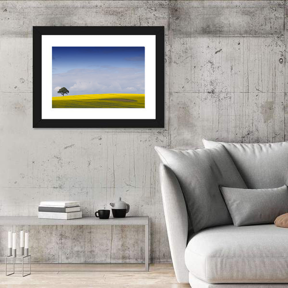 Solitary Tree Over Rapeseed Field Wall Art in a room, landscape