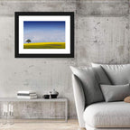 Solitary Tree Over Rapeseed Field Wall Art