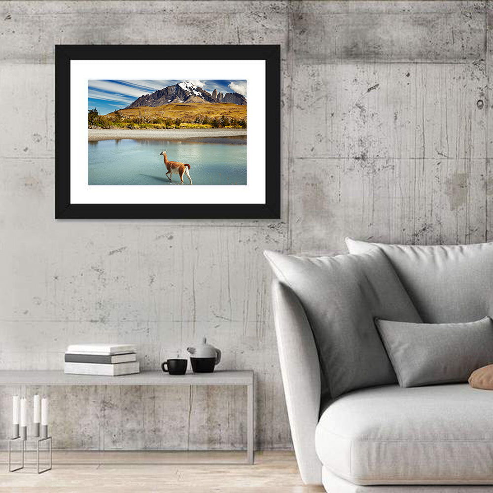 Torres Del Paine, Patagonia Wall Art in a room, landscape