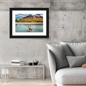 Patagonia National Park Wall Art