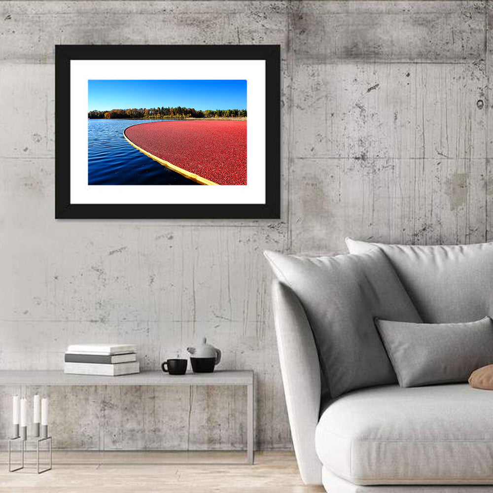 Flooded Cranberry Bog Wall Art