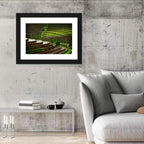 Lush Rice Terraces Wall Art