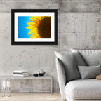 Sunflower Close-up Wall Art