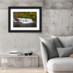 Dupont State Forest Autumn Waterfall Stream Wall Art