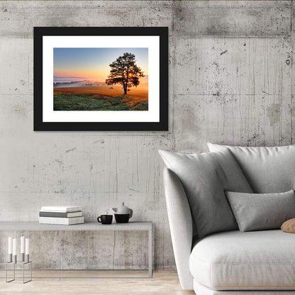 Hazy Meadow Morning & Tree Wall Art