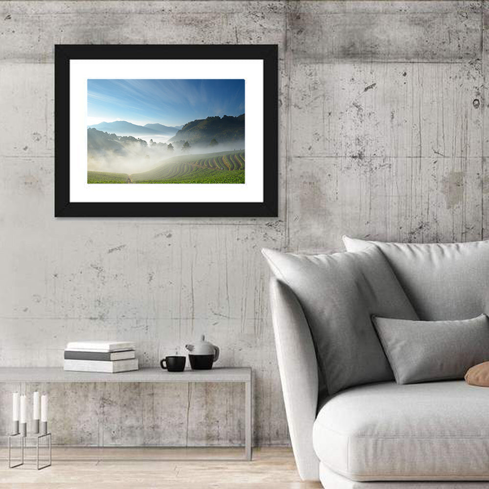 Sunlit Terraced Tea Hills Wall Art