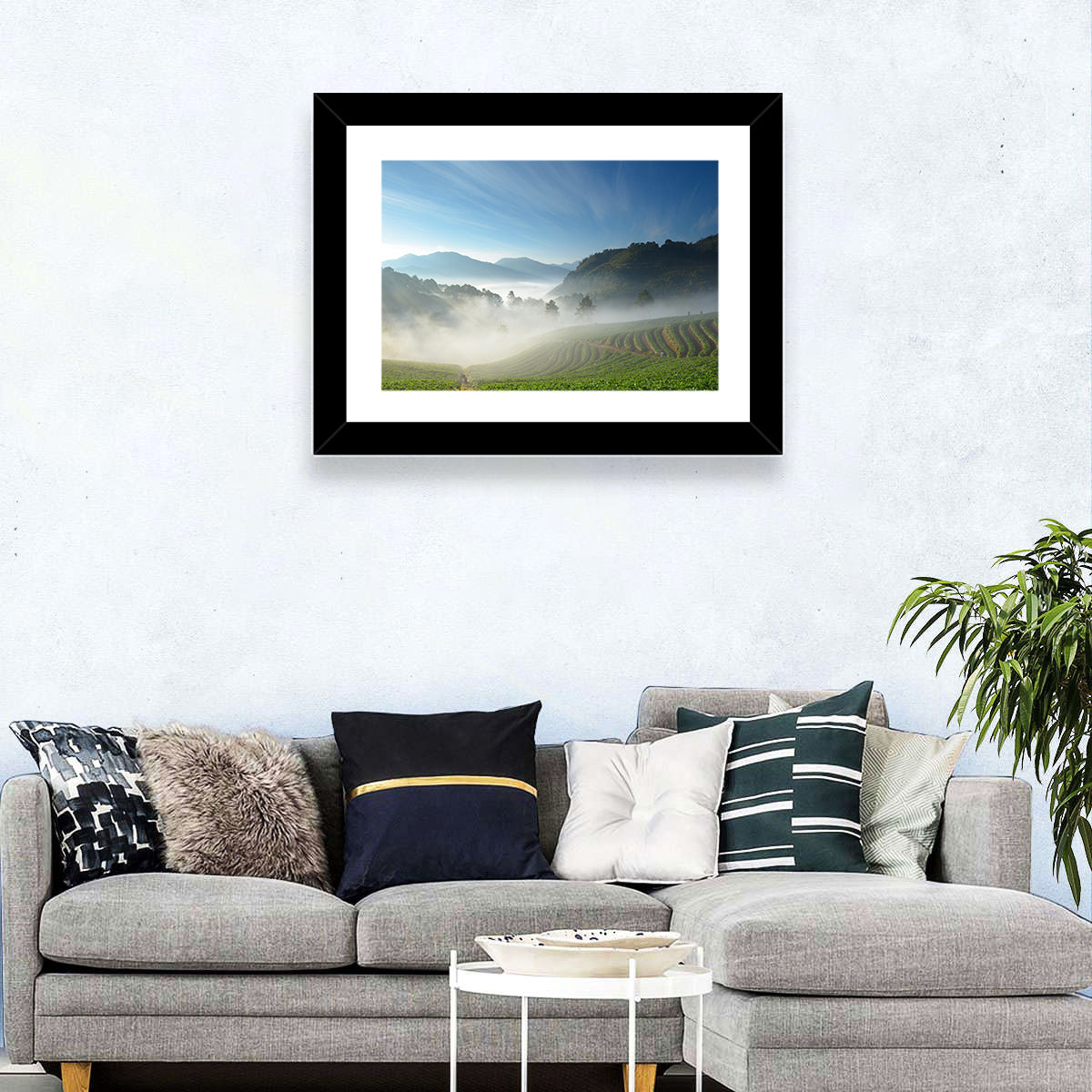 Sunlit Terraced Tea Hills Wall Art in a room, landscape