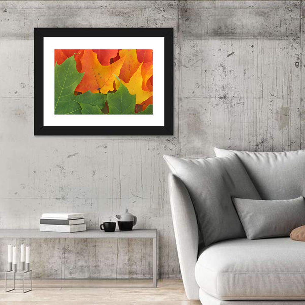 Autumn Maple Leaves Wall Art in a room, landscape