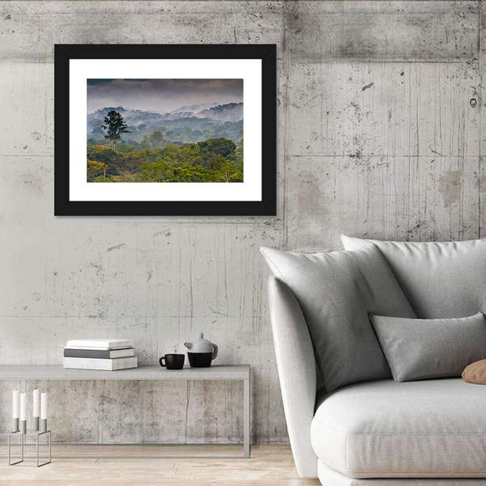Guinea Rainforest Landscape Wall Art in a room, landscape