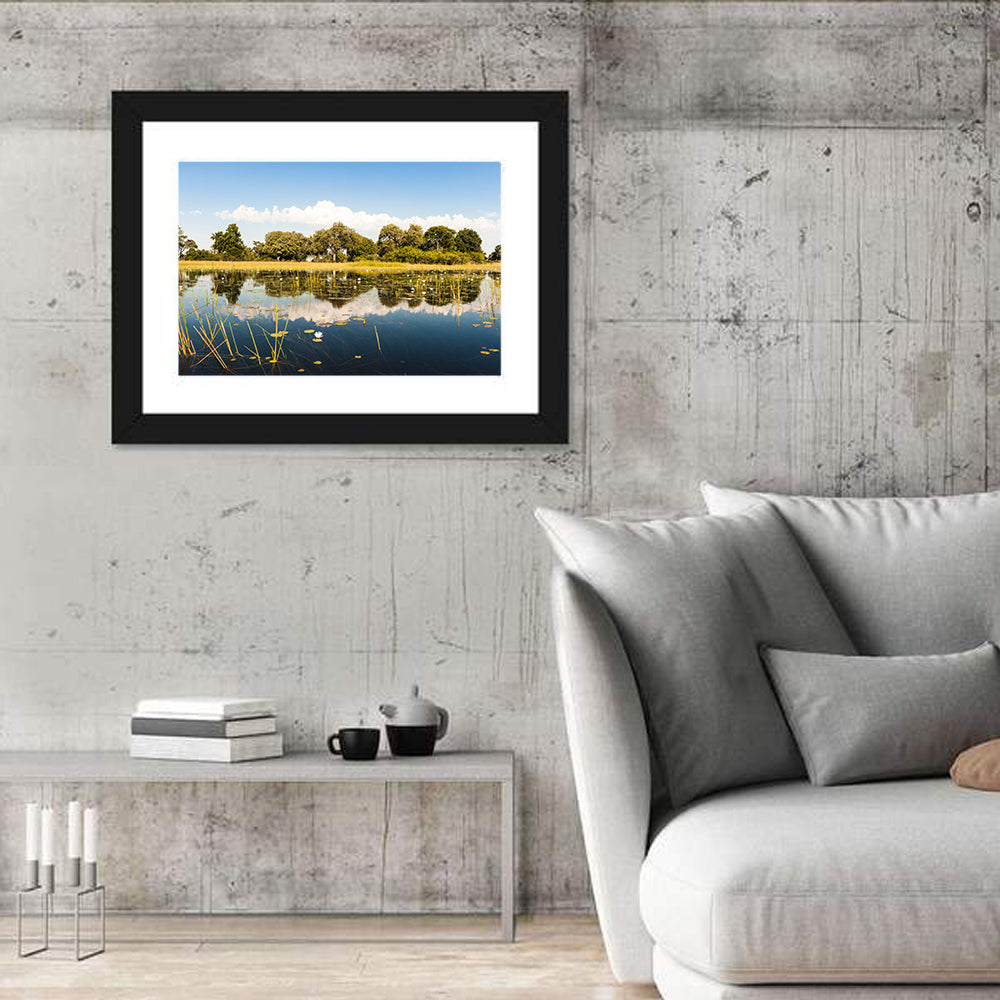 Okavango Delta Waterlilies Wall Art