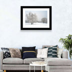 Frosted Birch Grove Wall Art