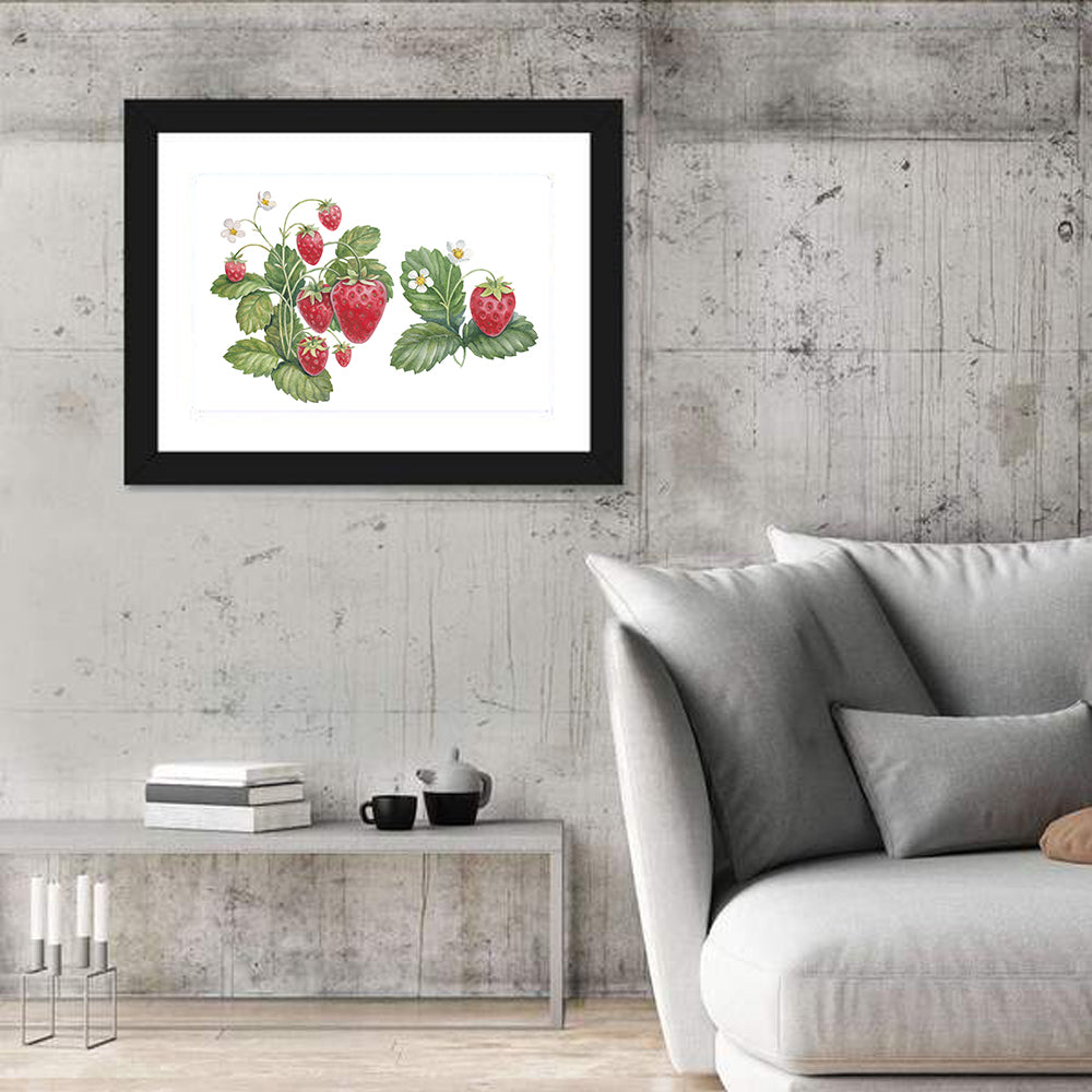 Fresh Strawberry Botanical Illustration Wall Art