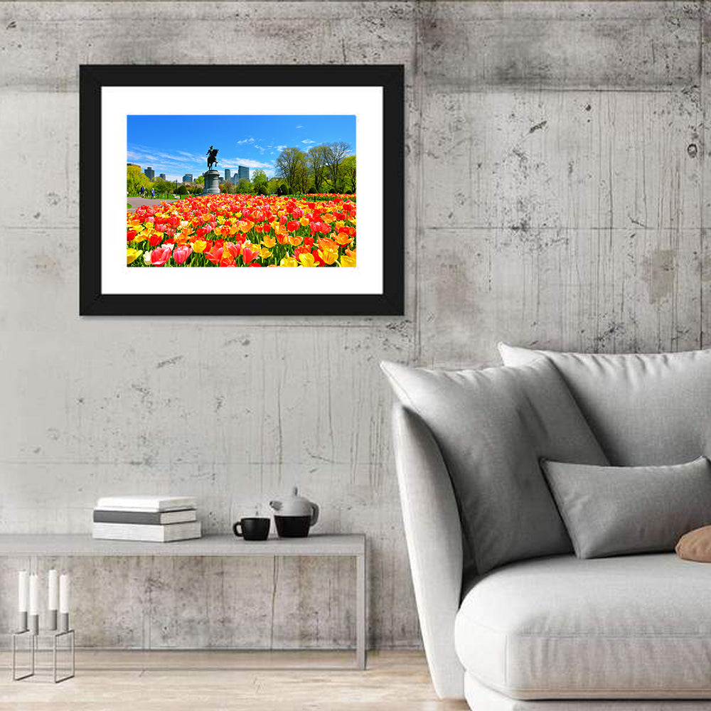 Boston Public Garden Tulips Wall Art