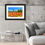 Boston Public Garden Tulips Wall Art