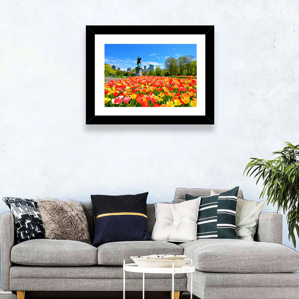 Boston Public Garden Tulips Wall Art