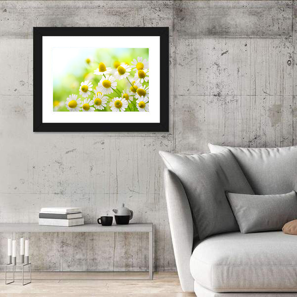 Chamomile Close-up Wall Art in a room, landscape