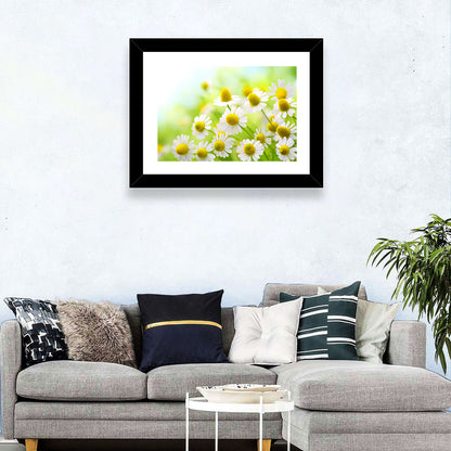 Chamomile Flowers Wall Art