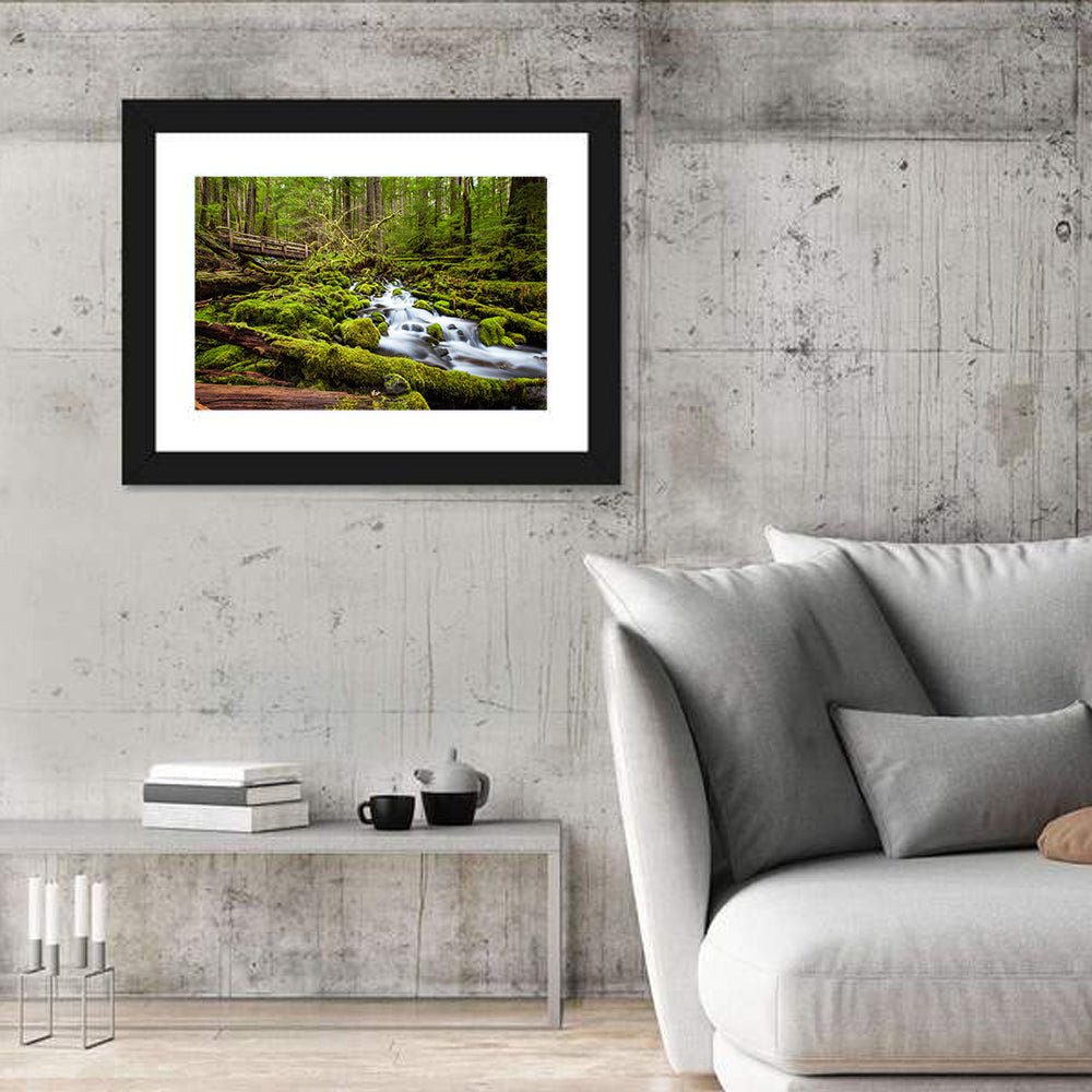 Mossy Cascade Forest Stream Wall Art in a room, landscape