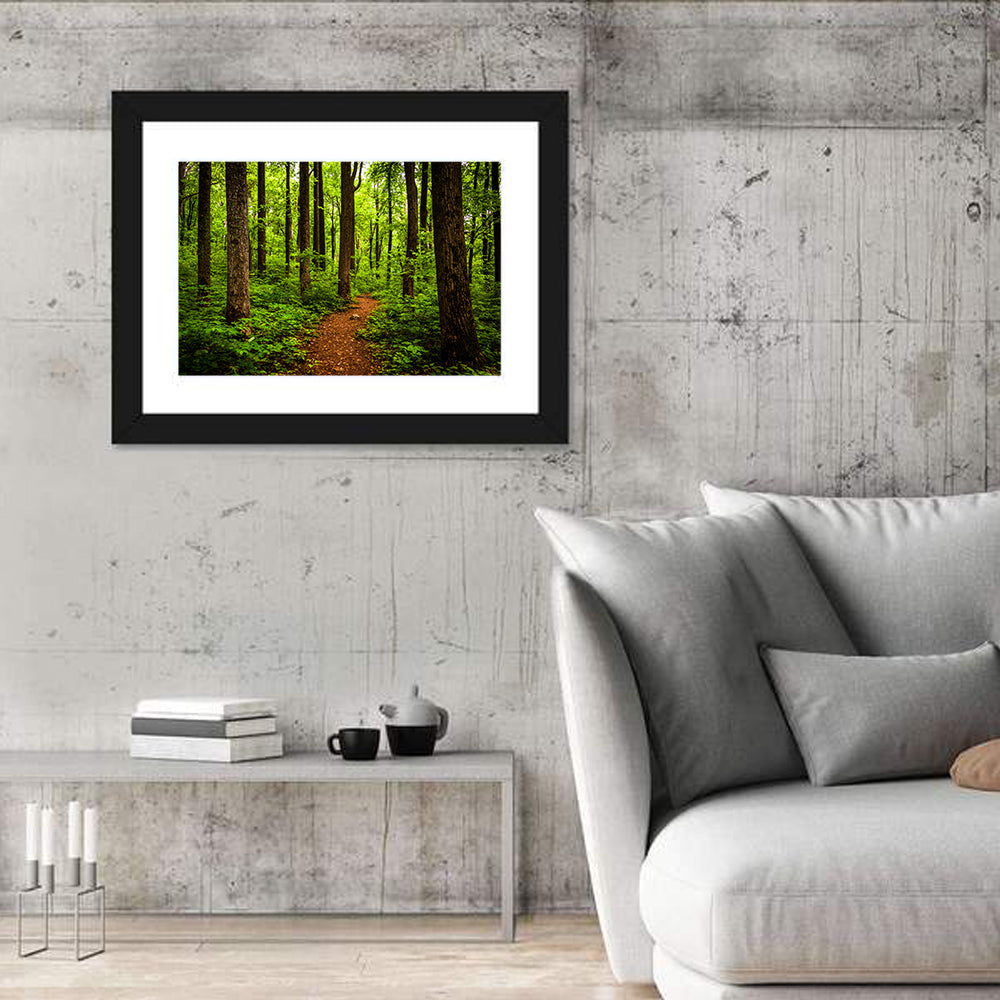 Shenandoah National Park Trail Wall Art in a room, landscape
