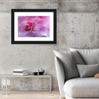 Ethereal Pink Rose Bloom Wall Art